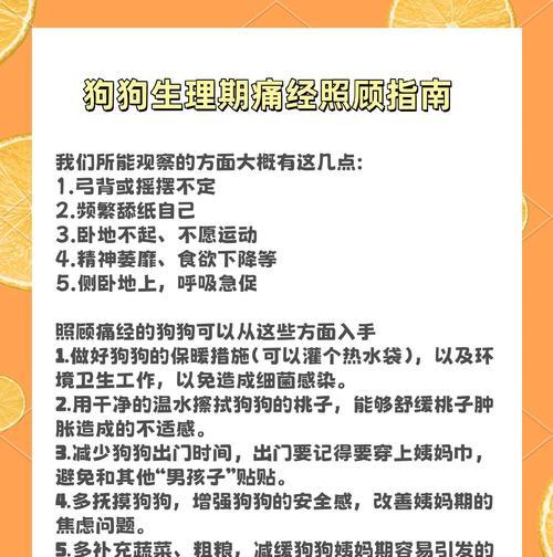 狗狗第一次来月经怎么办？（了解、照顾和管理你的狗狗的第一次月经）