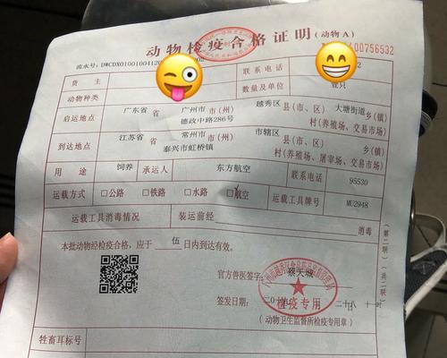 狗检疫证明开具周期的影响因素与时长解析（了解狗检疫证明开具周期，助您更好地准备宠物行程）