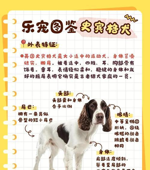 泰迪狗剪毛后多久长长？（探寻泰迪狗剪毛后的毛发生长周期与护理技巧）