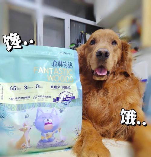 狗狗上火时的5种情况及如何降火（让你的爱犬远离上火困扰，关注狗狗健康）