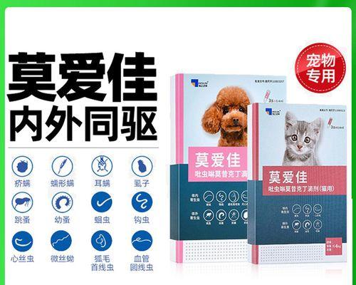 狗狗驱虫全攻略