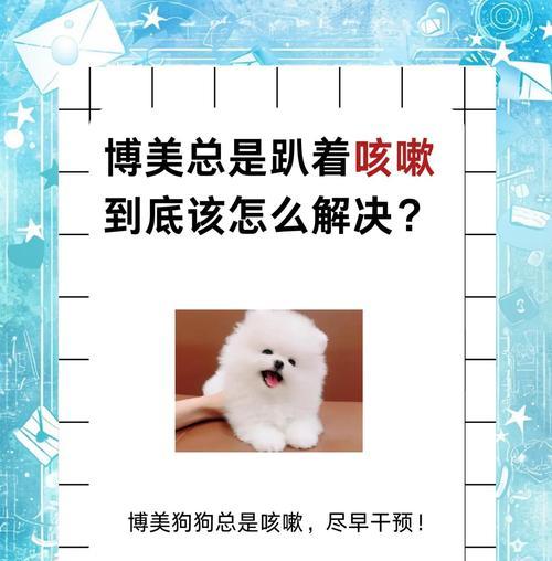 如何养好一只博美犬？（养博美必备知识，让你的狗狗健康快乐成长）