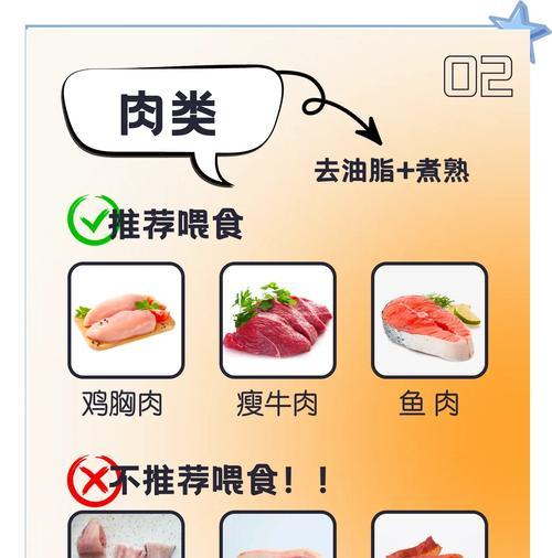 金毛犬的饮食禁忌与合适食物（了解金毛犬的食物禁忌，保护它们的健康）