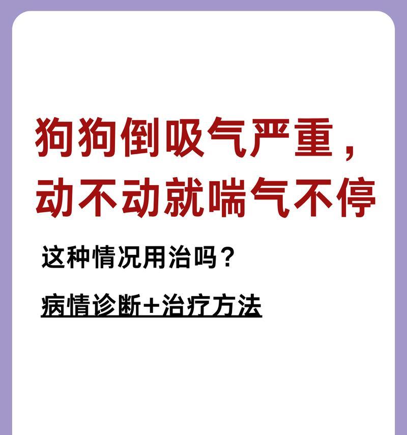 狗狗喘气的短时间现象是正常呼吸吗？（了解狗狗呼吸的四种短时间喘气情况，无需过度担心）