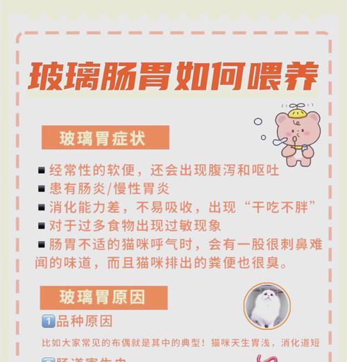 猫咪胃药使用指南（了解猫咪胃药的用药周期和注意事项）