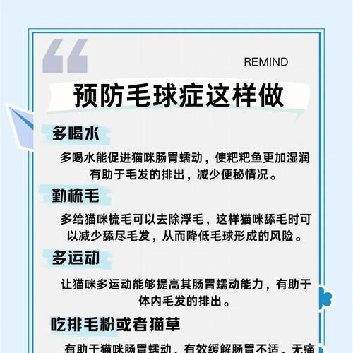 探讨毛球症致命时间及预防措施（揭开毛球症背后的危害与防范之道）
