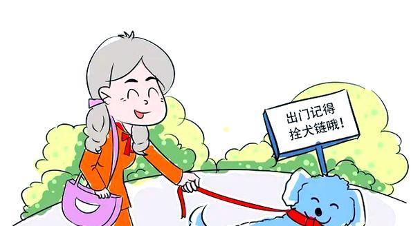 养狗后的家庭清洁技巧（以养狗后的家庭清洁技巧，让你的家始终保持整洁与卫生）