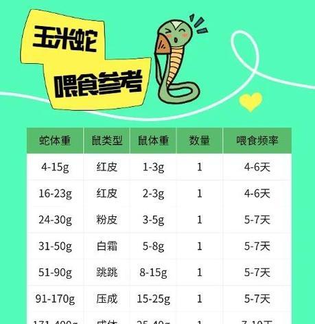 宠物蛇饲养的注意事项（正确喂食频率与避免触碰的重要性）