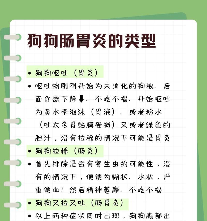 如何处理狗狗的肠胃炎（教你如何应对狗狗肠胃炎，不要慌张！）