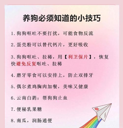 狗狗饮食注意事项——健康的饮食习惯关乎宠物的幸福（为爱宠定制合理饮食，主人是最好的厨师）
