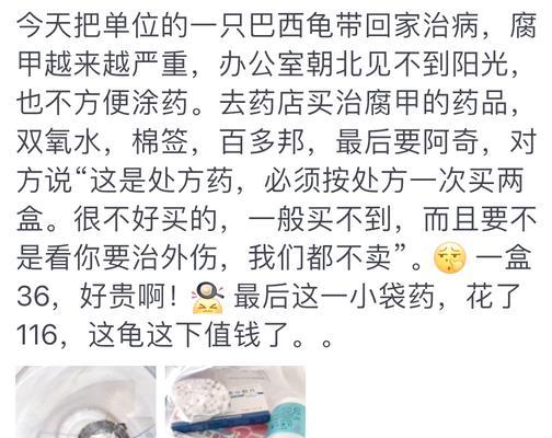 巴西龟指甲烂了原因及对策（巴西龟指甲烂了可能与与其他巴西龟玩闹有关）