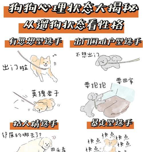 遛狗的正确时长与注意事项（为宠物狗提供足够的运动时间，让它们健康快乐）