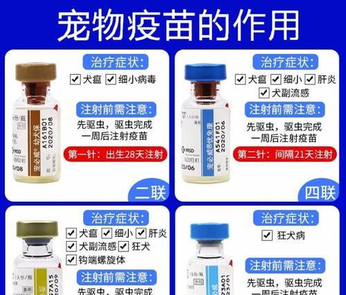 小狗疫苗接种时间表及注意事项（了解小狗疫苗接种频率，为宠物的健康保驾护航）