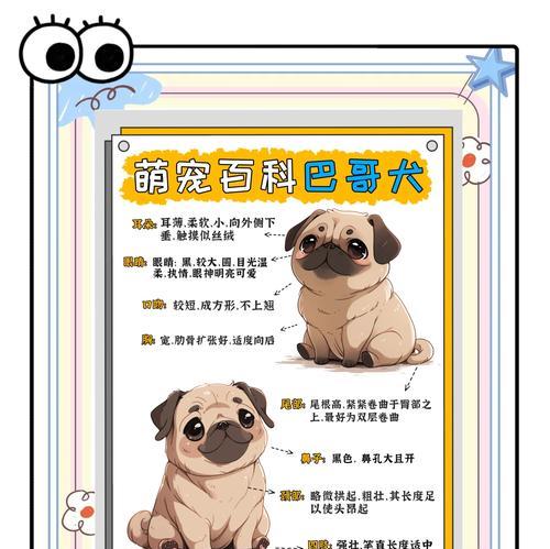 以巴哥喜欢吃哪些水果？（探索以巴哥的水果口味偏好）