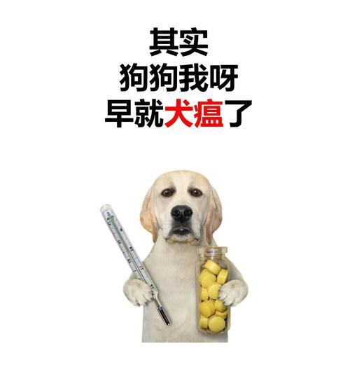 新手养狗必知！犬瘟热的预防与治疗（了解犬瘟热，守护爱犬健康）