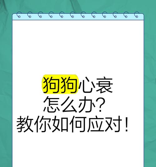 心衰狗狗的寿命（探索心衰狗狗的生活期限及如何延长其寿命）
