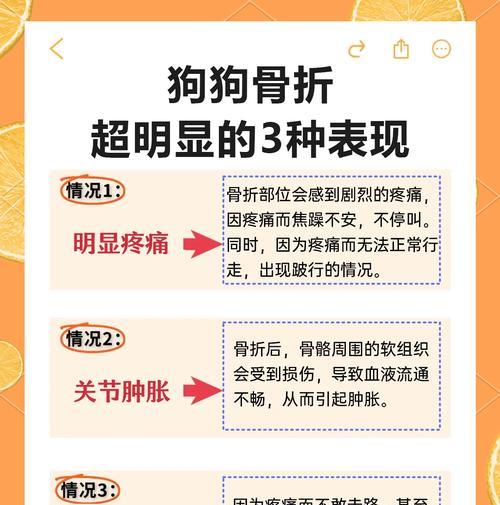 幼犬骨折康复时间解析（骨折康复的关键因素及幼犬骨折恢复的时间预估）