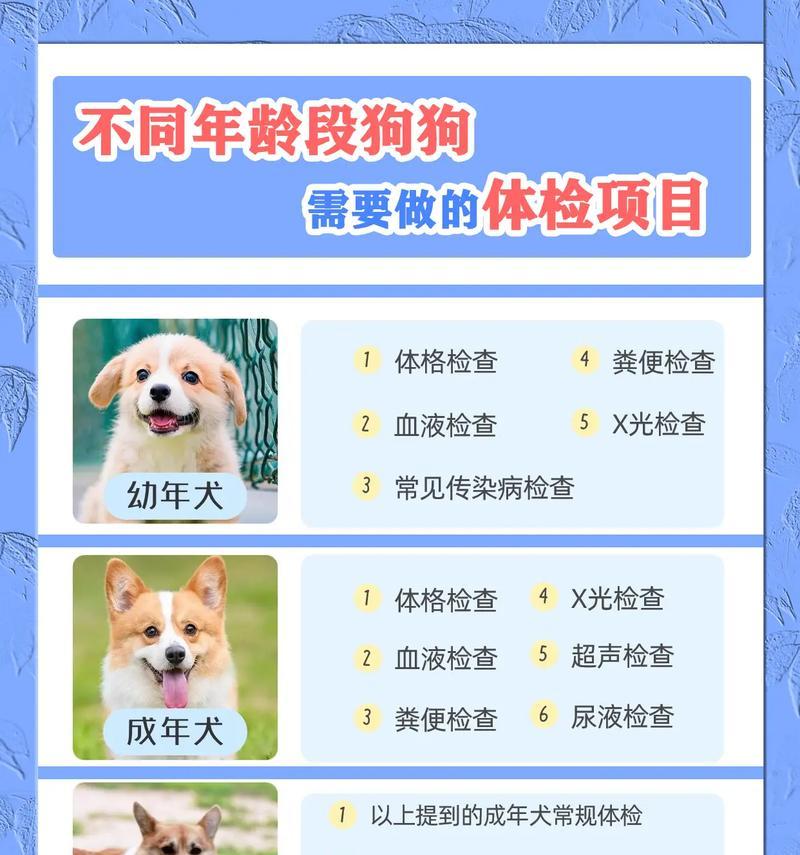 狗狗的饮食频率与健康（根据年龄段调整狗狗的进食次数）