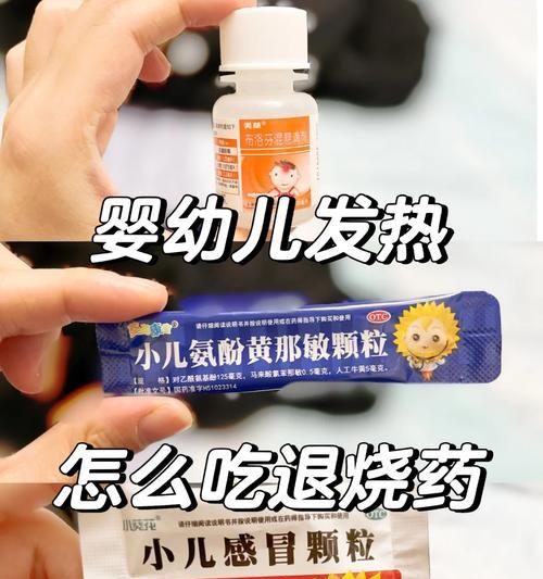 狗狗退烧药那些可以吃？（了解适合狗狗的退烧药品）