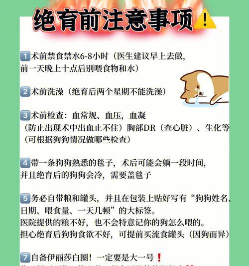 犬的饮食要注意什么？（关爱你的爱犬，从正确喂食开始）