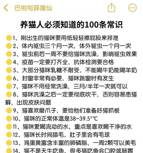 养猫的4件事和3件不能做的事（了解如何正确养猫，让它们健康快乐一生）