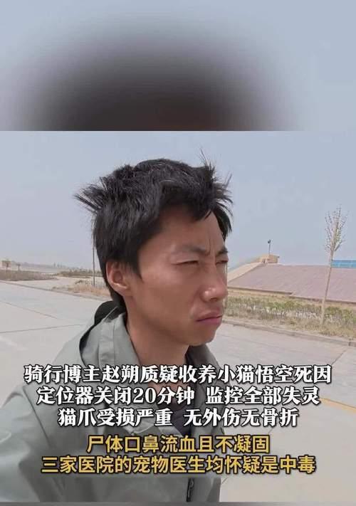猫中毒后的生存期（揭示猫中毒后存活的关键因素及其影响）