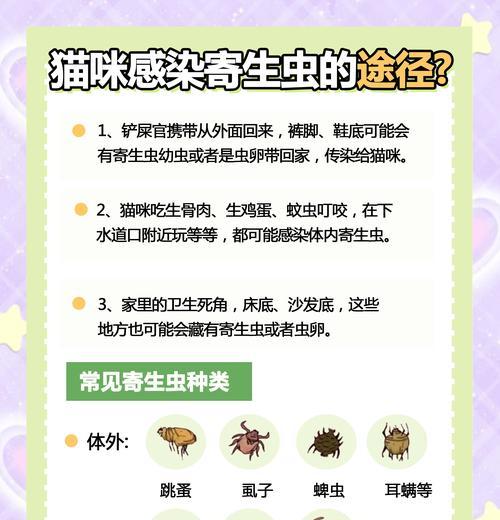 猫服用驱虫药后多久会出现呕吐现象？（了解猫咪服用驱虫药后呕吐的时间及原因）