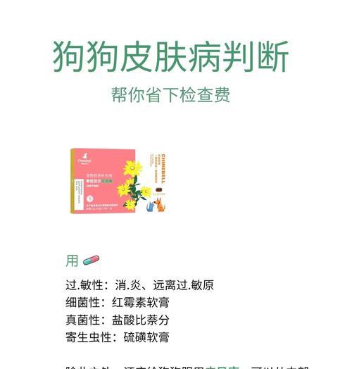 狗皮肤破了需要多久才能好？（探讨狗皮肤破裂愈合的过程和时间）