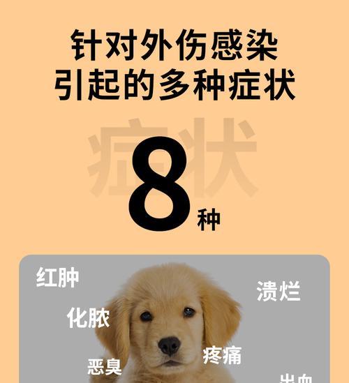 如何止血（了解止血时间，保护宠物健康）
