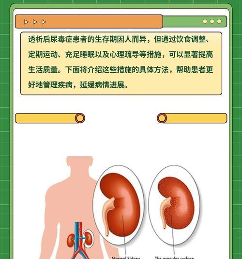 狗尿毒症（揭开狗尿毒症的罪恶循环与挣扎）