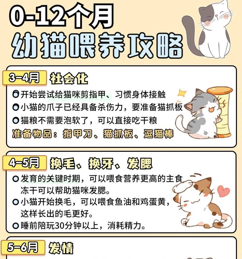 如何正确喂养20天小猫（掌握喂养频率，让小猫健康成长）