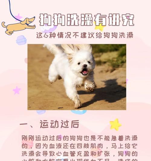 狗狗肌肉损伤恢复需要多久？（了解狗狗肌肉损伤的恢复时间及关键因素）