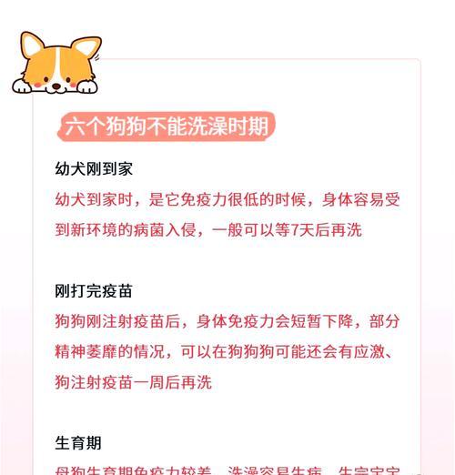 狗狗药浴间隔多久？如何正确给狗狗进行药浴？（探索合适的药浴间隔时间，确保狗狗的健康和舒适。）