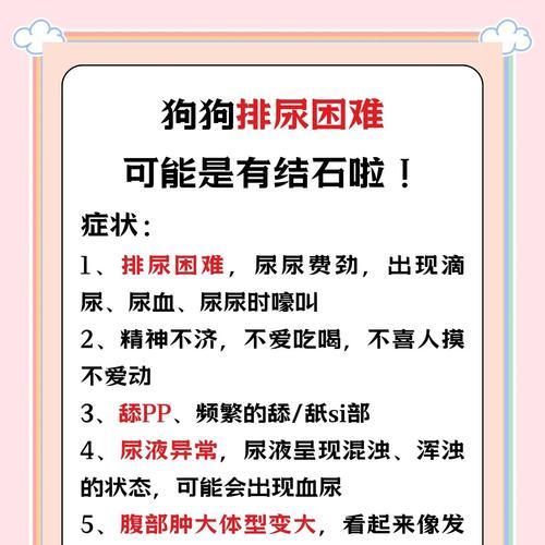 狗狗尿结石的症状和治疗方法（了解狗狗尿结石的迹象及应对策略）