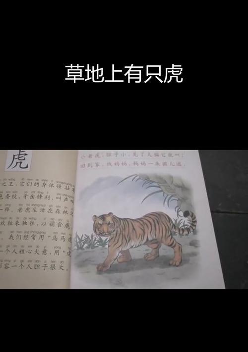 老虎和猫科动物的关系（老虎是否会吃掉猫？解析猫科动物之间的互动关系）