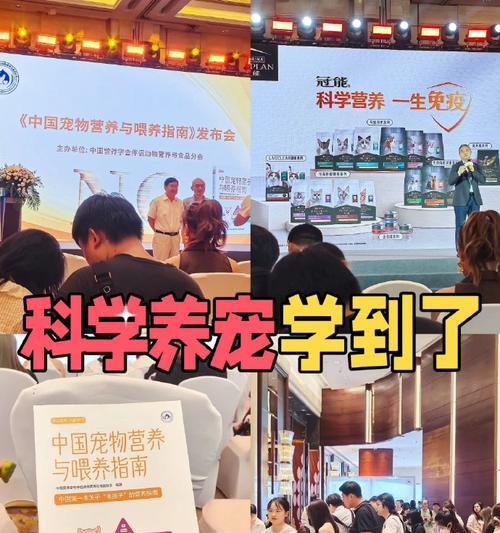 科学喂养金毛，满足其营养需求（金毛的饮食与营养摄入）