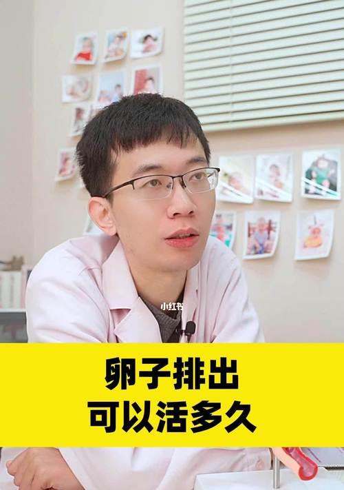 狗狗卵子的寿命（探究狗狗卵子的存活能力及其影响因素）