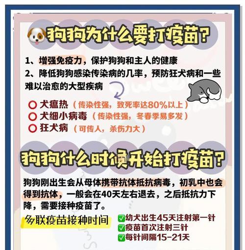 狗四联疫苗接种频率及重要性（维护宠物健康的关键——狗四联疫苗的接种计划）