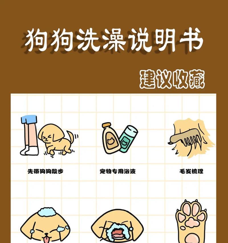 新买的狗狗多久可以洗澡？（科学洗澡时间的重要性和注意事项）