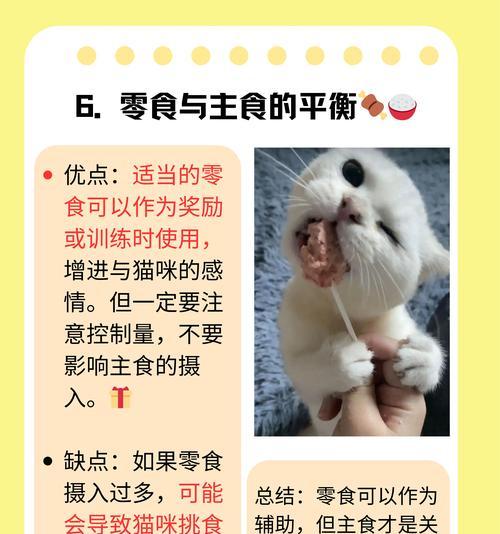 多久刺激奶猫排便的适宜时间间隔（养猫人士必知的喂养技巧）