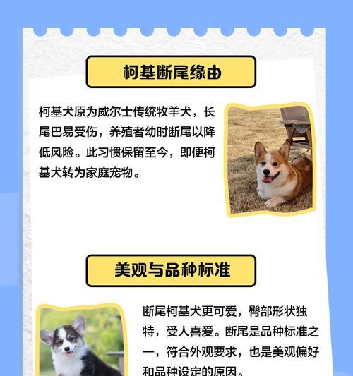 小母柯基犬的闹狗行为解析（了解小母柯基犬闹狗行为的关键问题及解决方法）