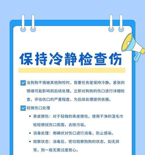 狗狗被其他狗咬伤了怎么办？处理狗狗伤口的步骤（有效处理狗狗被咬伤的方法，保护狗狗健康和安全）