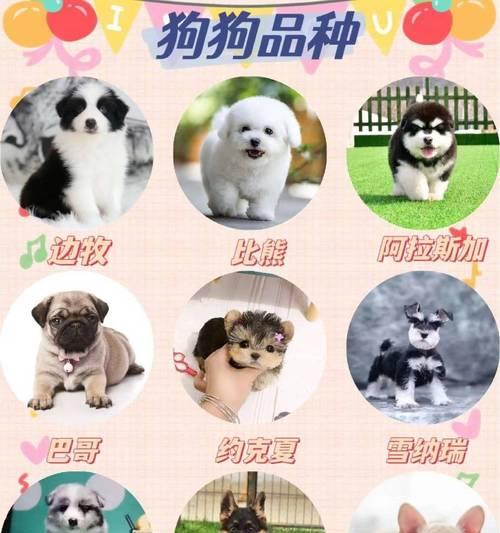 金毛犬疫苗接种后多久可以洗澡？（金毛犬疫苗接种后的洗澡时间和注意事项）