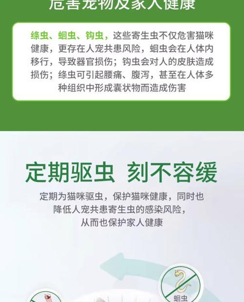 小猫体外驱虫的时间与效果（驱虫药物对小猫的见效及注意事项）