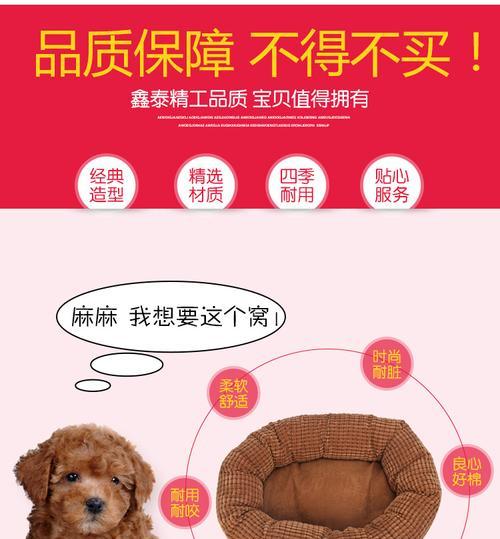 比熊繁殖周期与小狗产生的时间差异（探究比熊产生水泡到出生小狗的时间间隔及其影响因素）