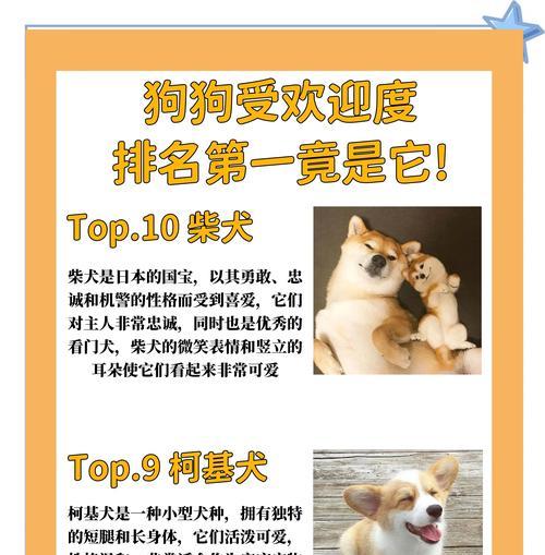 豪华生活的代价（探索世界上最昂贵的狗狗品种，你家有吗？）