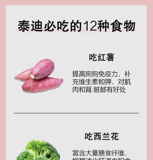 养泰迪狗的喂养注意事项（如何正确喂养泰迪狗，保持其健康与活力）