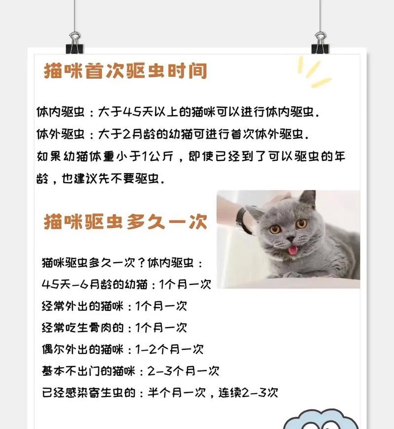 成年犬驱虫频率及注意事项（保护宠物健康，合理驱虫有诀窍）