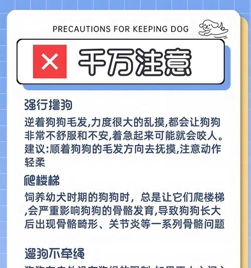 养犬应注意的个人卫生（养犬者需遵循的卫生规范）