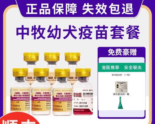 养宠物狗需要定期打疫苗保健身体（了解宠物狗疫苗接种时间及作用，为它们提供最佳保护）